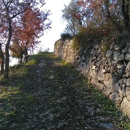 Monica Magnanelli Lamporecchio